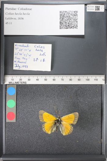 Media type: image;   Entomology 124332
